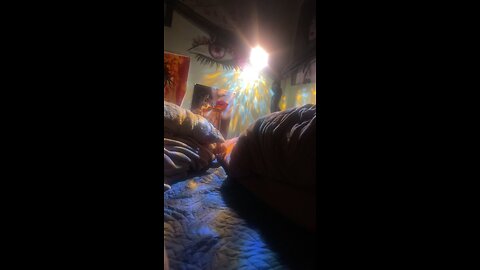 Peek A Boo