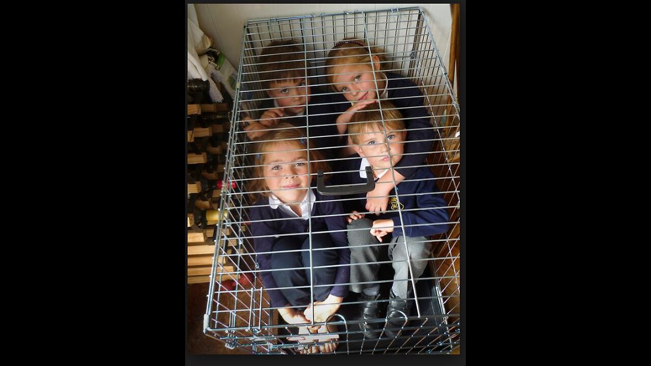 We might need more kids in cages...