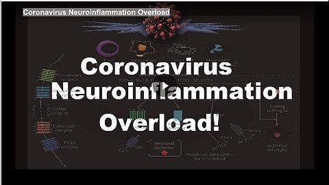 "Overload of Neuroinflammation Due to Coronavirus"