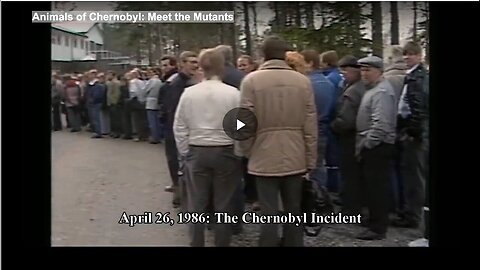 "Meet the Mutant Animals of Chernobyl"