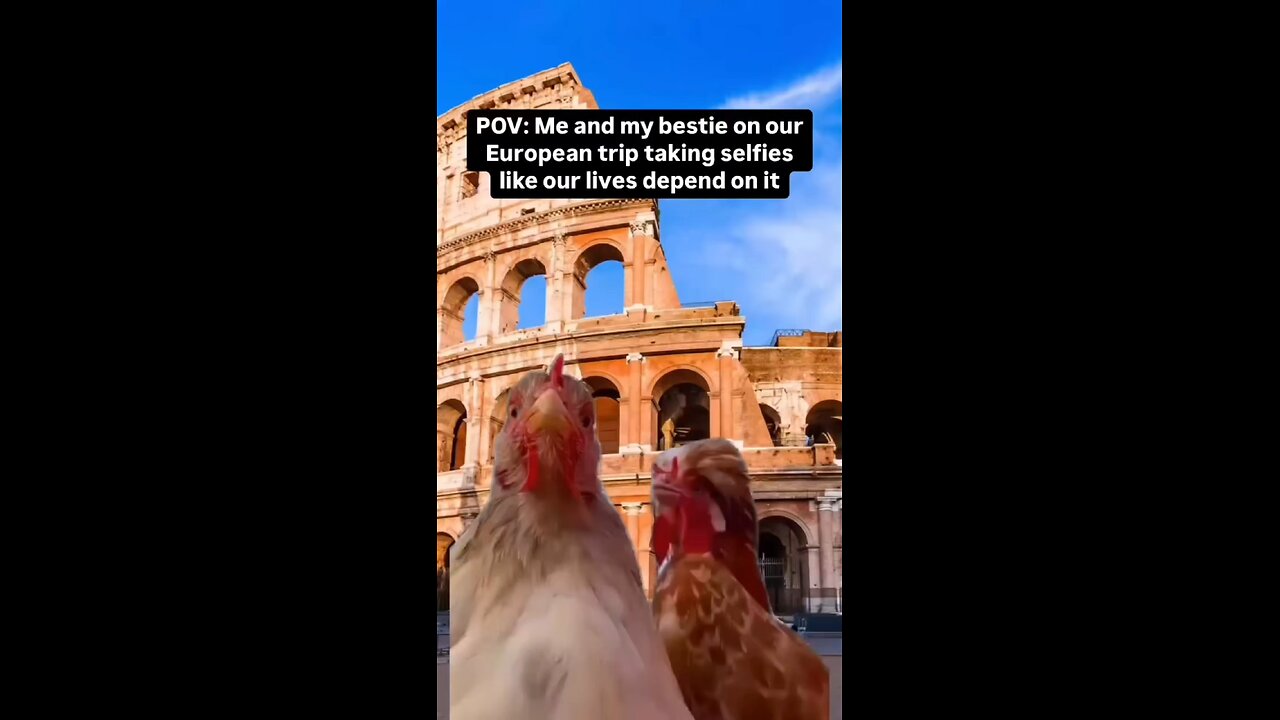 "The biggest adventure you can take is to live the life of your dreams."