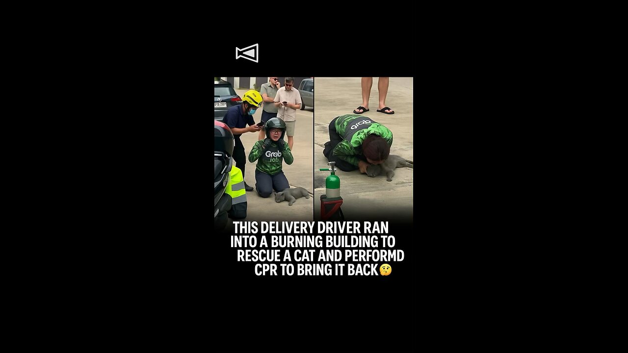 This delivery driver is a true hero