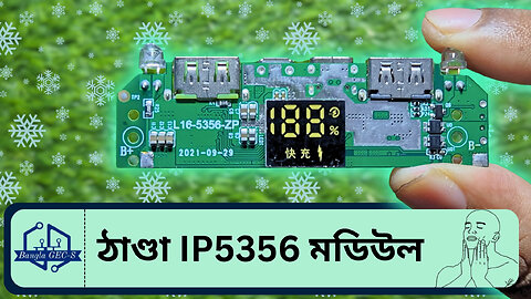 স্পেশাল একটা IP5356 মডিউল !