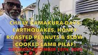 Chilly Kamakura: Earthquakes, Honey-Roasted Peanuts & Slow-cooked Lamb Pilaf!