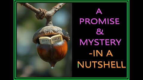 A PROMISE & MYSTERY -IN A NUTSHELL #1 EB