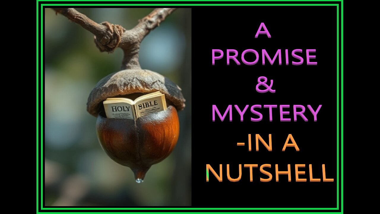 A PROMISE & MYSTERY -IN A NUTSHELL #1 EB