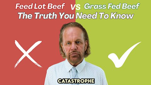 Grass-Fed vs Feedlot Beef: The Truth You Need to Know