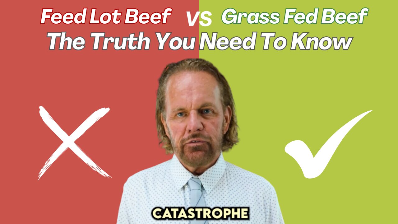 Grass-Fed vs Feedlot Beef: The Truth You Need to Know