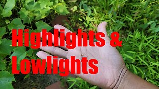 Best and Worst of the August Garden