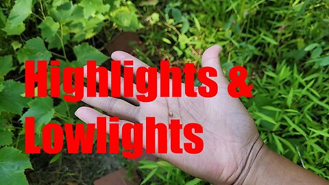 Best and Worst of the August Garden