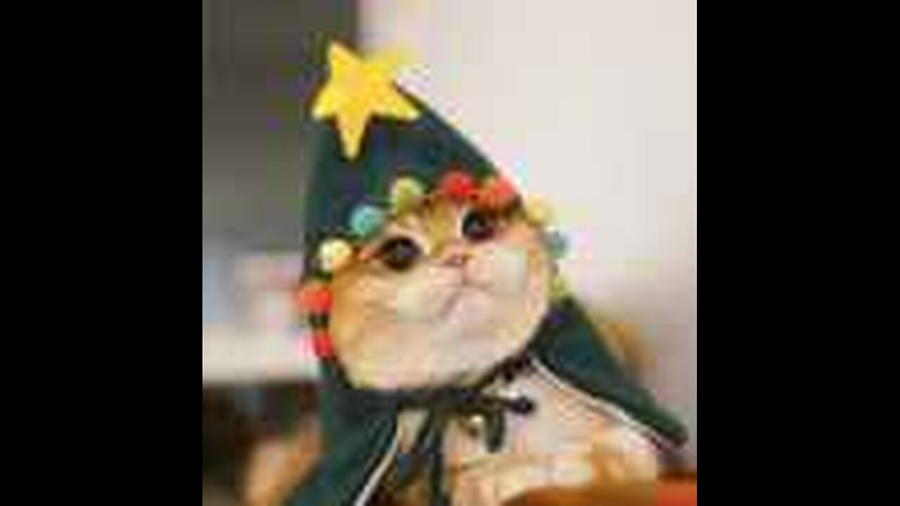 Yugioh Forbidden Memories & More