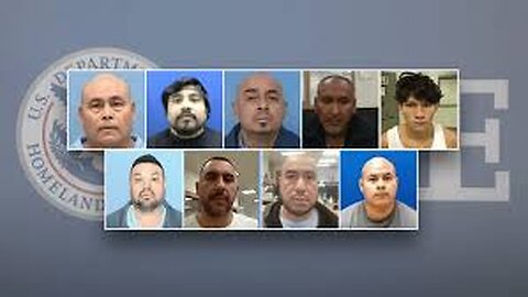 Illinois Officials Release Thousands of Criminal Illegal Aliens Despite ICE Detainers,