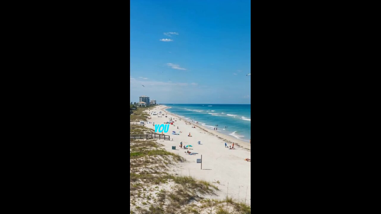 Top 5 Things To Do In Bonita Springs Florida 2025!