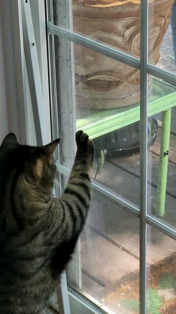 Lenny's workout!!!! 😆 🤣 😂 😹