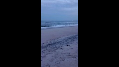 Taking a stroll on the beach ⛱️ before Nightfall 🌃