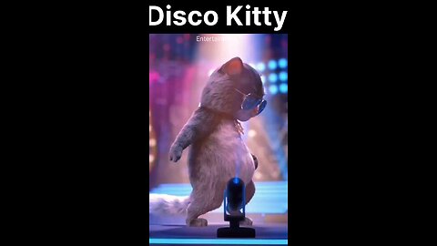 The Coolest Cat You'll Ever See Steals the Spotlight