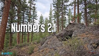 Numbers 21, Bible Reading in Nature, BSB