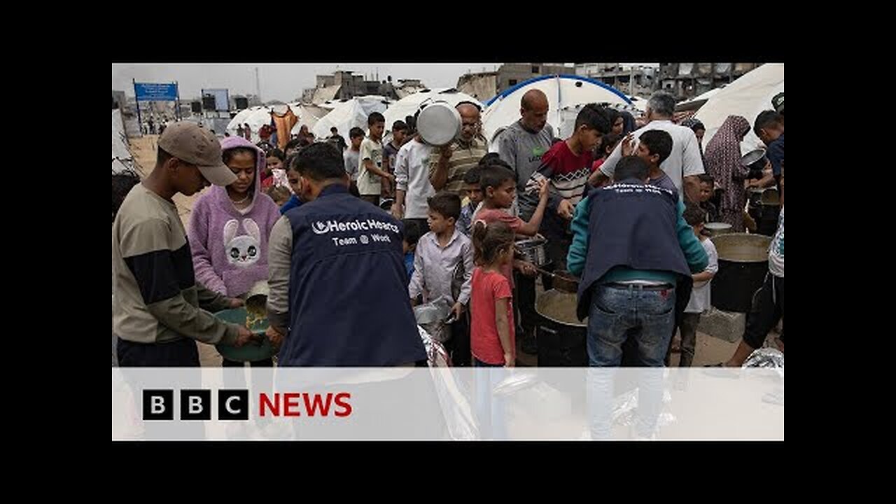 Gaza aid system ‘facing total collapse’, charities warn | BBC News