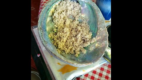 Hidden Pines Wild Turkey Tail Mushroom Grind, down the hatch, I like it like that. August 22, 2025.