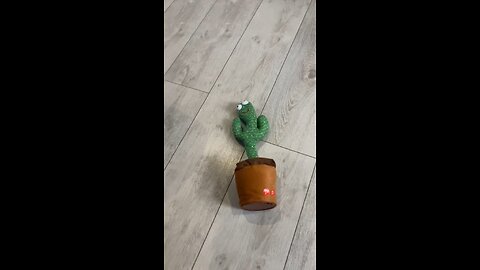 what is he training for