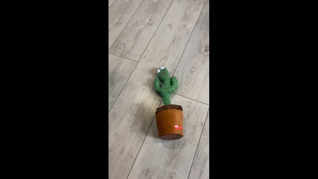 what is he training for