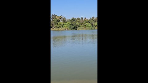 Welcome to the lake 🌄