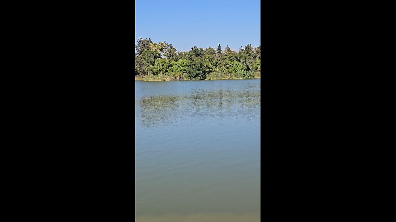 Welcome to the lake 🌄