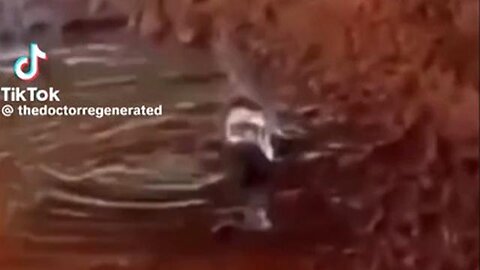 ABOUT GIANT TREE STUMPS & THE GREAT FLOOD...