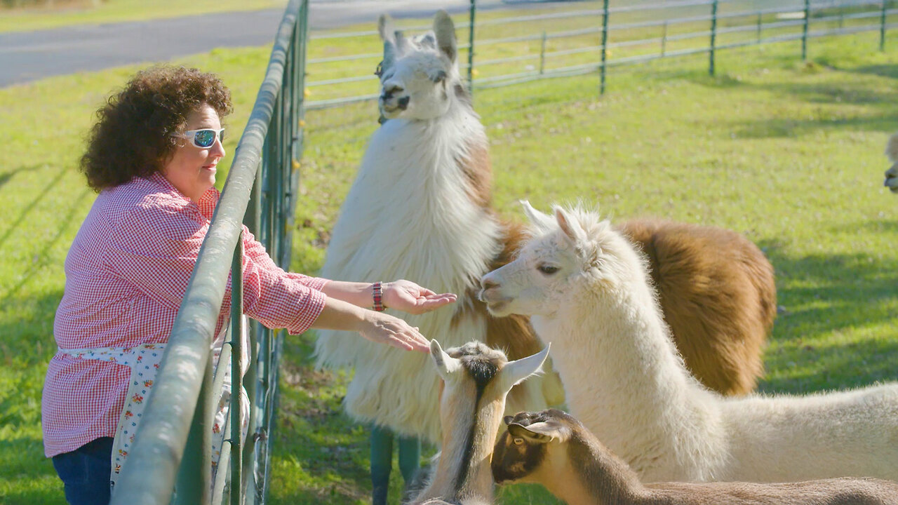 They Told Me I'd Fail, So I Became a Millionaire Entrepreneur Instead