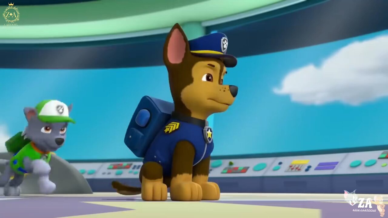 PAW Patrol Cartoons