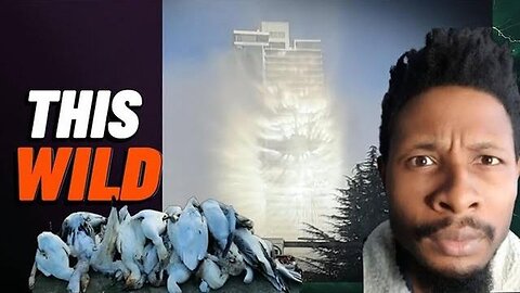 "Reviving Fading Animals: How Going Off-Grid with Homesteading Transformed JW TV's Content"
