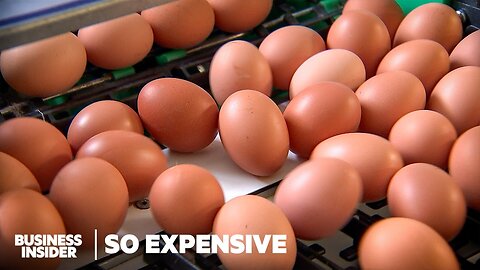 Why Expensive Eggs Are a Bigger Problem Than You Think | So Expensive | Business Insider