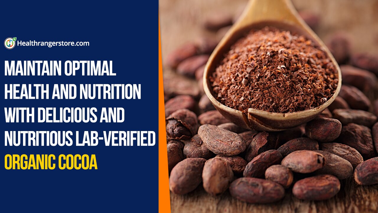 Maintain optimal health and nutrition with delicious and nutritious lab-verified Organic Cocoa
