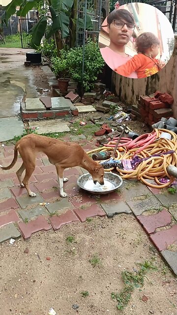 jivdaya mehsana youtube