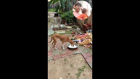 jivdaya mehsana youtube