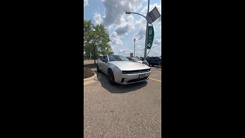 Electric Hell Cat