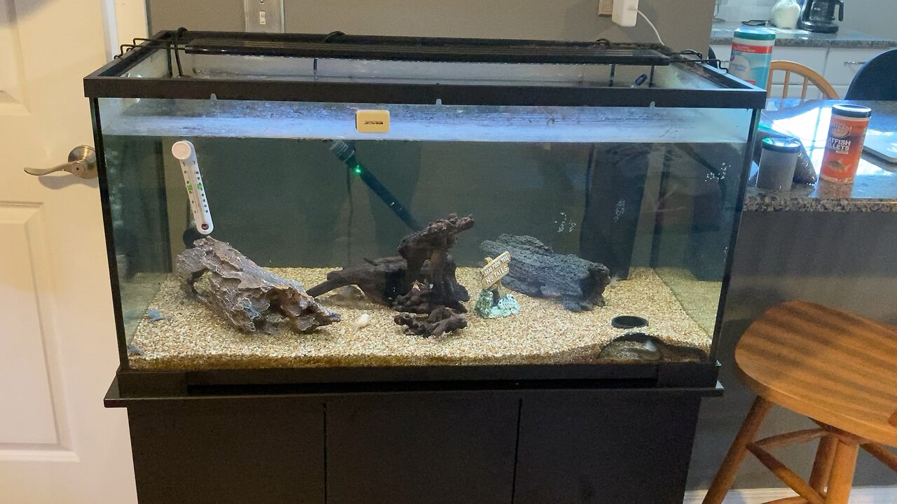 Our fish tank setups in the Shilly Shack part 1