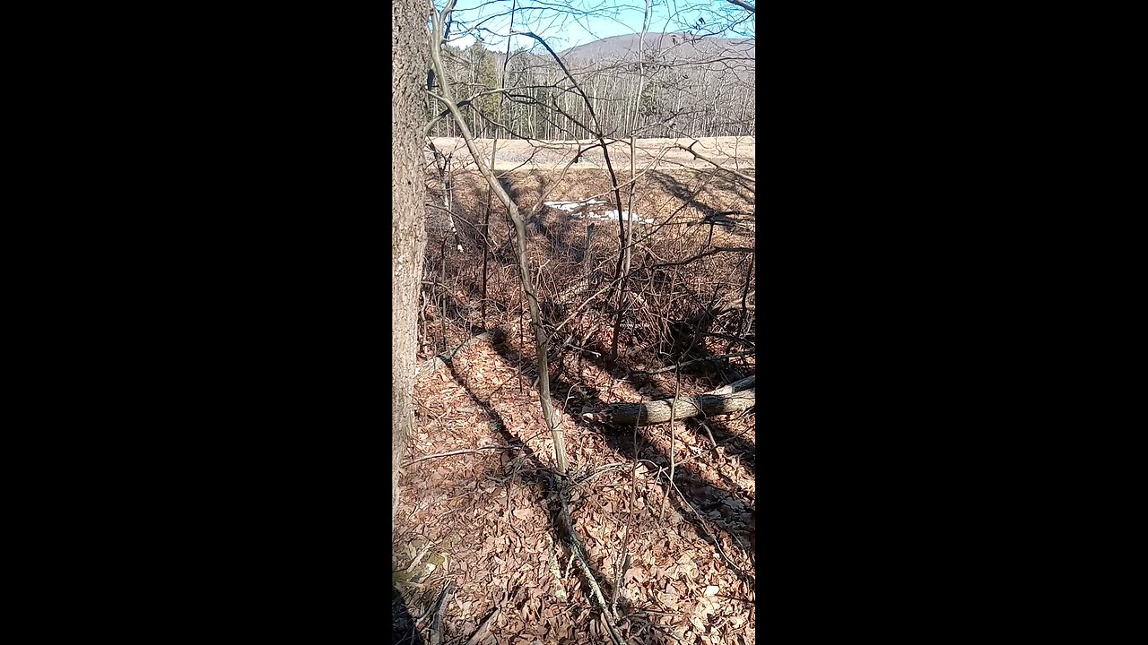 Shed hunting the Catskill mountains 2024