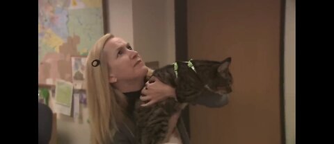 Hilarious Office Fire Drill Fail! 😂 | The Office US Comedy Moments