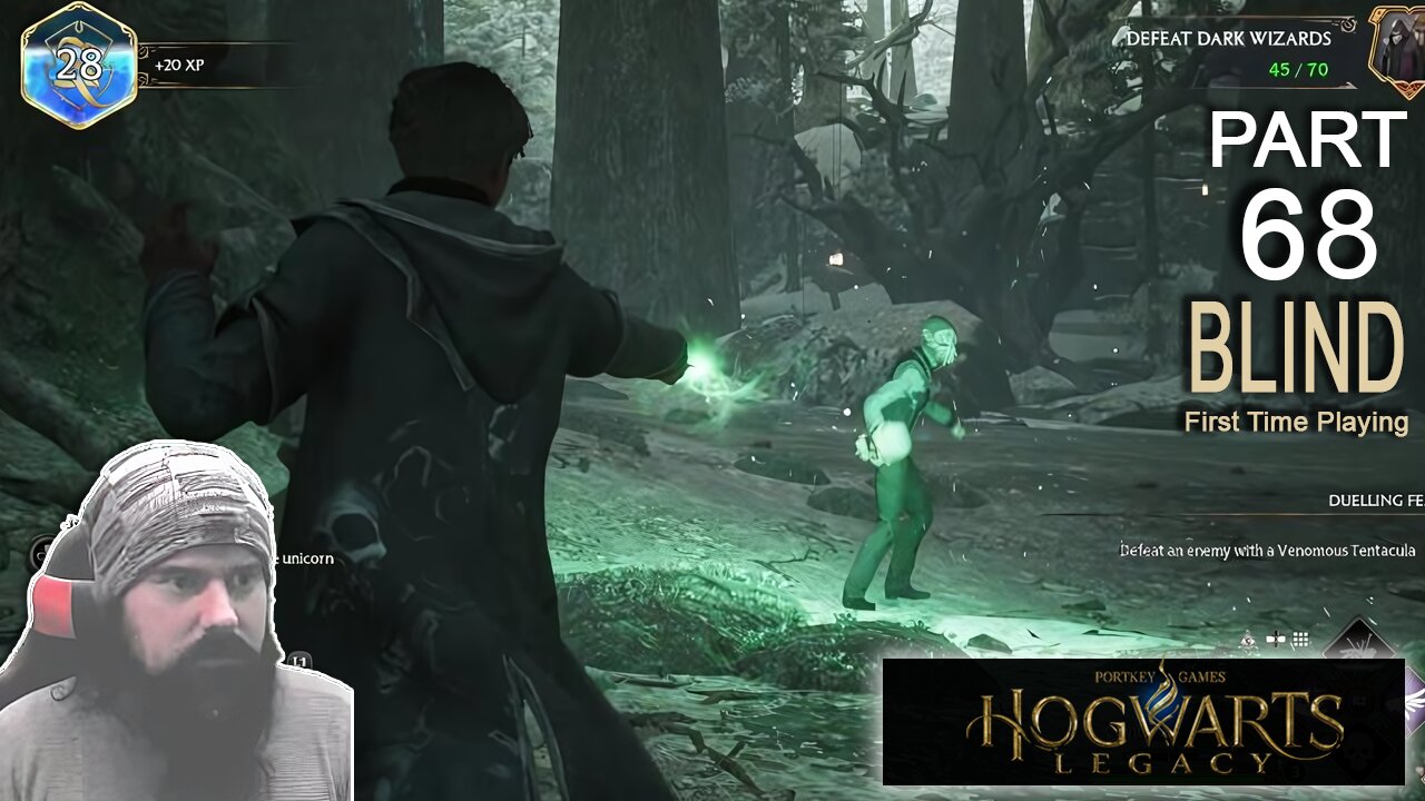Raging Unicorn | Blind Playing Hogwarts Legacy Part 68 Slytherin