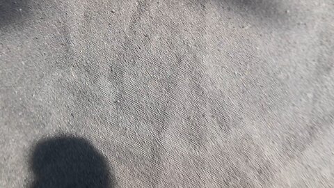 playshootgo 4
