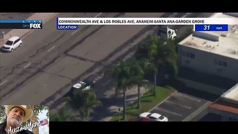 BREAKING NEWS:📣 SWAT Bearcat vs. Semi-trailer Truck. SWAT won.🥇
