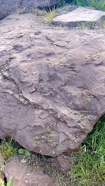 Petrified Body parts all over we actually walk on giants