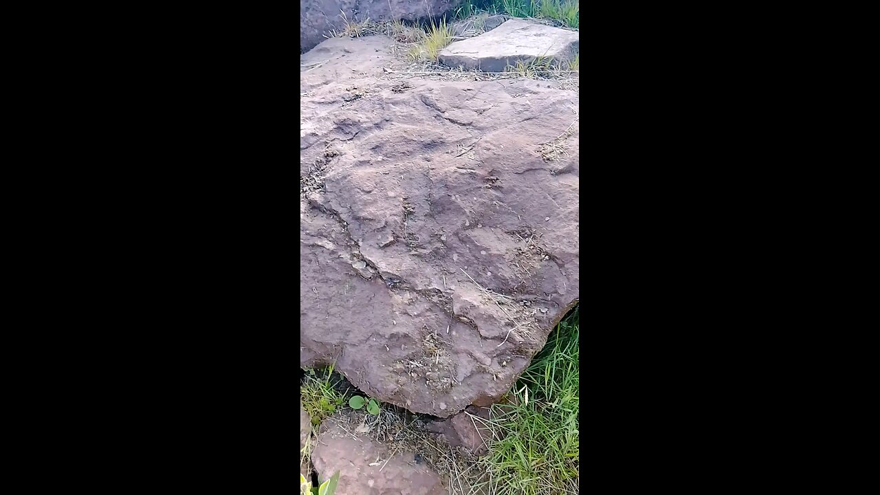 Petrified Body parts all over we actually walk on giants