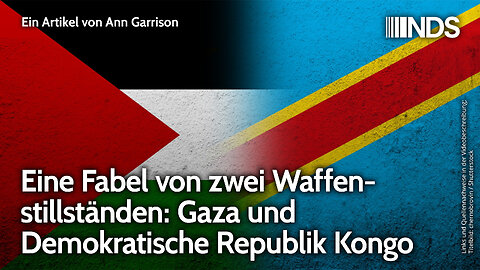 Eine Fabel von zwei Waffenstillständen: Gaza und Demokratische Republik Kongo | Ann Garrison | NDS