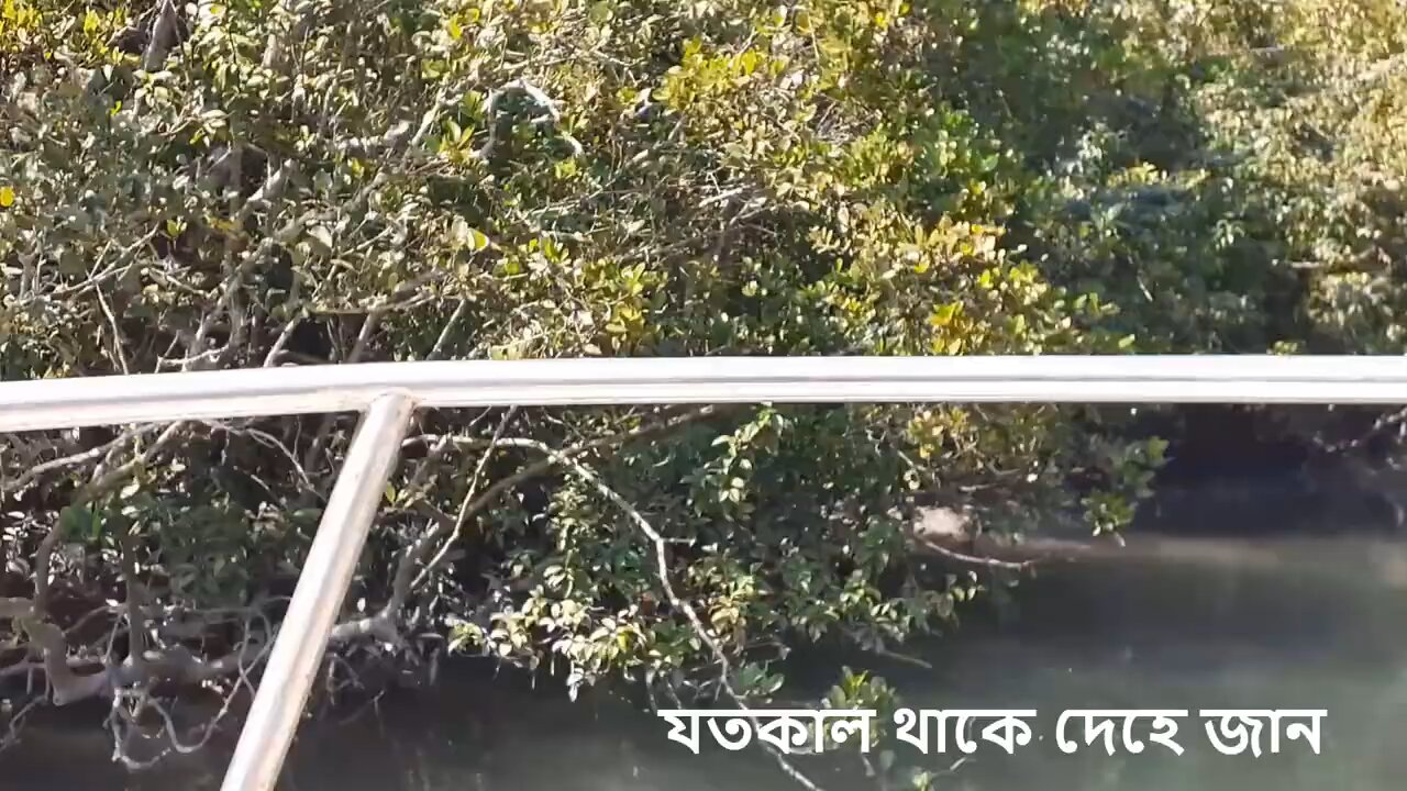 Bangla song যতকাল থাকে দেহে জান