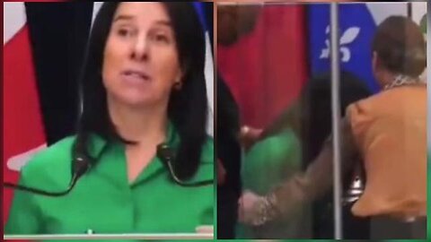 "Montreal Mayor Collapses Mid-Speech: Insights and Impact on City's Political Landscape"