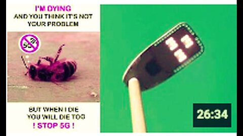"Part 2: 5G Electromagnetic Radiation Ecocide - The Impact on Wildlife"