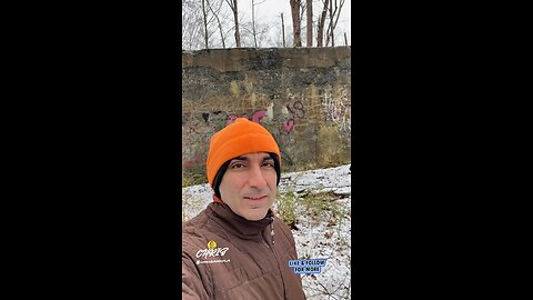 IT’S SPRING THEY SAID