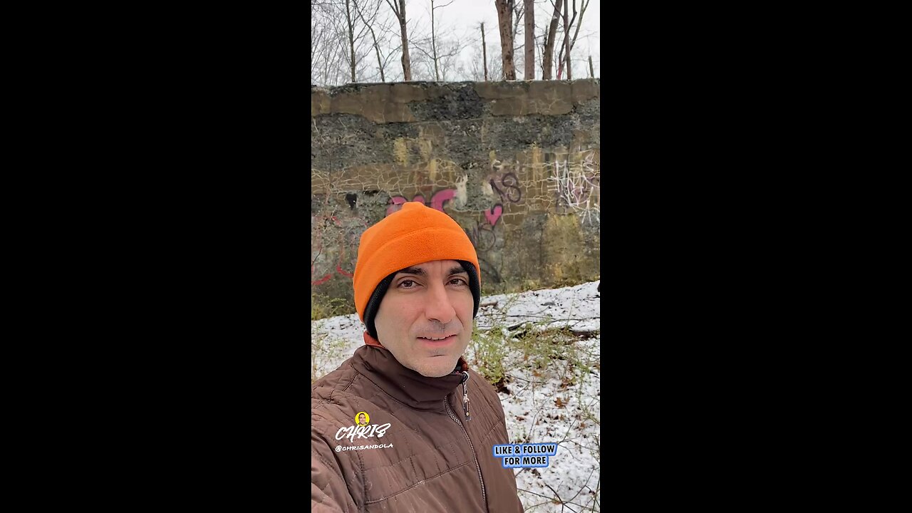 IT’S SPRING THEY SAID